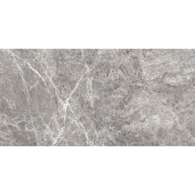 Mexen Lizard Grey glazed rectified gres G1, floor-wall tile 120 x 60 cm, gloss - TL109-120-060-02