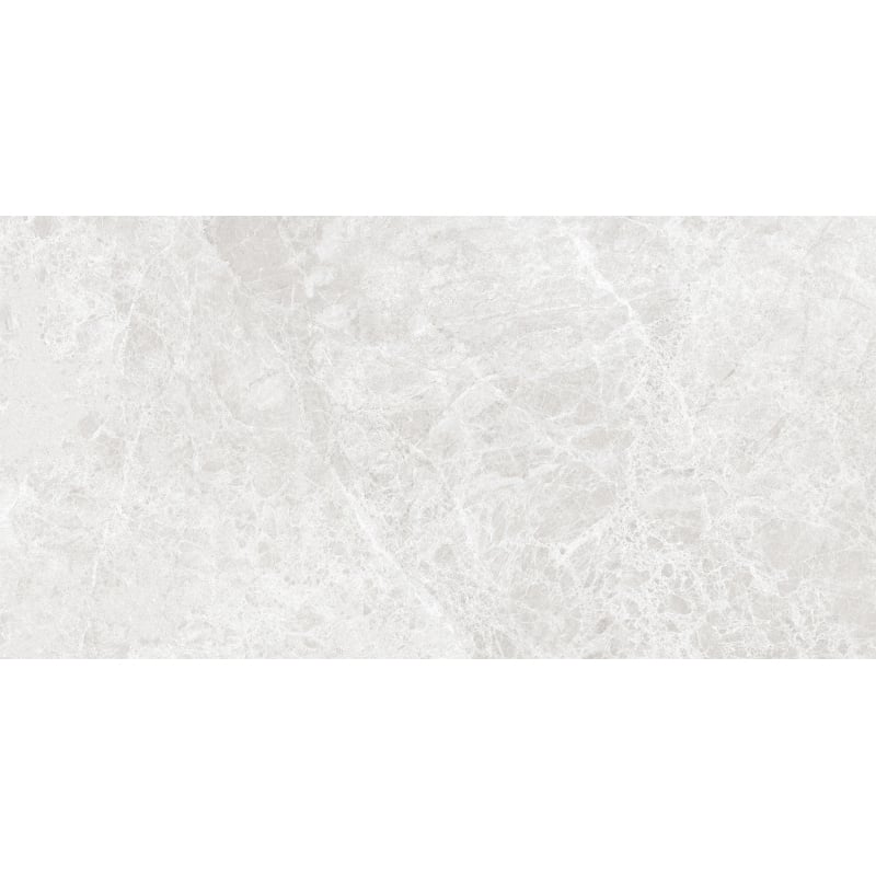Mexen Lizard Silver glazed rectified porcelain tile G1, floor-wall tile 120 x 60 cm, gloss - TL109-120-060-03