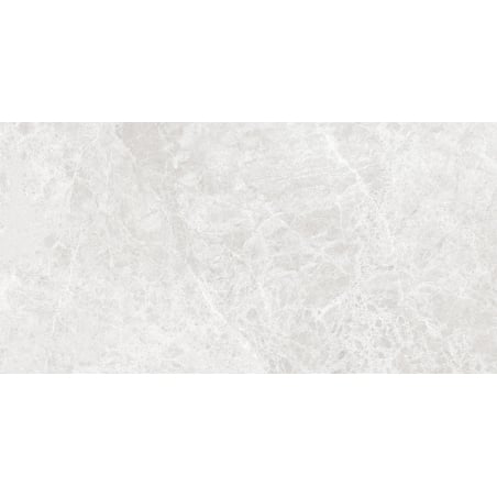 Mexen Lizard Silver glazed rectified porcelain tile G1, floor-wall tile 120 x 60 cm, gloss - TL109-120-060-03