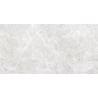 Mexen Lizard Silver glazed rectified porcelain tile G1, floor-wall tile 120 x 60 cm, gloss - TL109-120-060-03