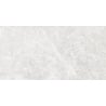 Mexen Lizard Silver glazed rectified porcelain tile G1, floor-wall tile 120 x 60 cm, gloss - TL109-120-060-03