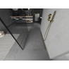 Mexen Kioto freestanding shower wall 100 x 200 cm, black pattern 8 mm, gold - 800-100-002-50-78