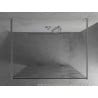 Mexen Kioto 120 x 200 cm Freestanding Shower Wall, White Wave 8 mm, Chrome - 800-120-002-01-97