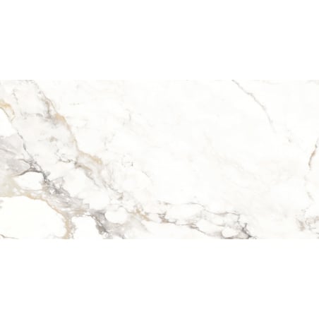 Mexen Scordia Gray glazed rectified tile G1, floor-wall tile 120 x 60 cm, gloss - TL125-120-060-00