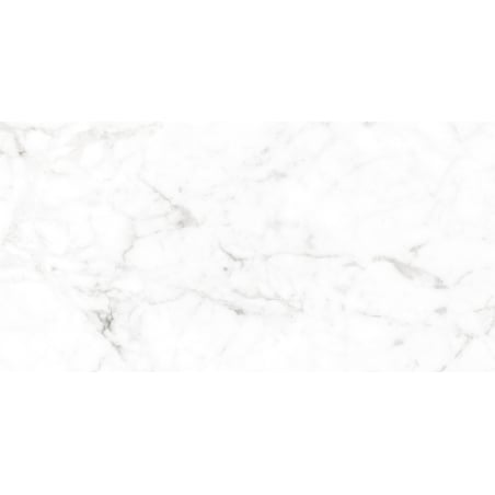 Mexen Smogy Grey glazed rectified tile G1, floor-wall 120 x 60 cm, glossy - TL140-120-060-01
