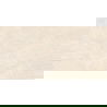 Mexen Nairobi Beige glazed rectified G1 tile, floor-wall 120 x 60 cm, gloss - TL160-120-060-00