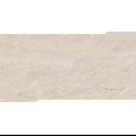 Mexen Dayno Classic glazed rectified stoneware tile, 120 x 60 cm, gloss - TL166-120-060-01