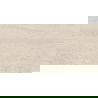 Mexen Dayno Classic glazed rectified stoneware tile, 120 x 60 cm, gloss - TL166-120-060-01