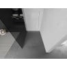 Mexen Kioto Walk-in Shower Wall 70 x 200 cm, Graphite 8 mm, White - 800-070-101-20-40