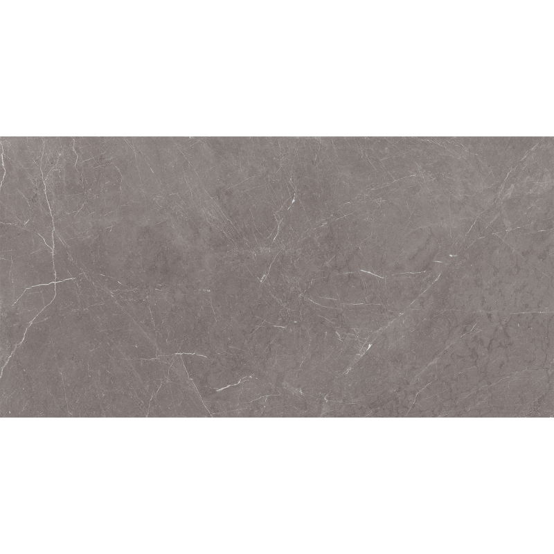 Mexen Gloster Grey glazed rectified G1 floor-wall tile 120 x 60 cm, gloss - TL172-120-060-01