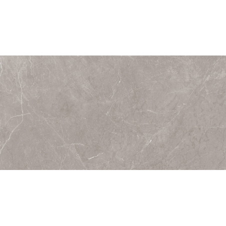 Mexen Gloster Light Grey glazed rectified stoneware G1, floor-wall tile 120 x 60 cm, gloss - TL172-120-060-04