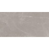 Mexen Gloster Light Grey glazed rectified stoneware G1, floor-wall tile 120 x 60 cm, gloss - TL172-120-060-04