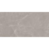 Mexen Gloster Light Grey glazed rectified stoneware G1, floor-wall tile 120 x 60 cm, gloss - TL172-120-060-04