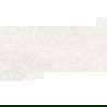 Mexen French Silver glazed rectified gres tile G1, floor-wall tile 120 x 60 cm, glossy - TL173-120-060-01