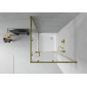 Mexen Rio square shower enclosure 70 x 70 cm, transparent, gold + tray, white - 860-070-070-50-00-4510
