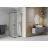 Mexen Rio square shower cubicle 80 x 80 cm, Frosted, Gold - 860-080-080-50-30