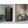 Mexen Rio Square Shower Enclosure 80 x 80 cm, Graphite, Gold - 860-080-080-50-40