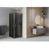 Mexen Rio square shower cubicle 80 x 80 cm, Graphite, Gold - 860-080-080-50-40