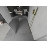 Mexen Kioto Free-standing shower wall 120 x 200 cm, mirror 8 mm, gold - 800-120-002-50-50