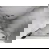 Mexen Lunar L shower doors, right hinged 105 cm, transparent, brushed nickel - 834L-105-000-97-00-P