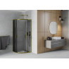 Mexen Rio semi-circular shower enclosure 70 x 70 cm, graphite, gold - 863-070-070-50-40