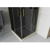 Mexen Rio square shower cabin 70 x 70 cm, graphite, gold + Flat tray, white - 860-070-070-50-40-4010G