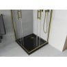Mexen Rio Square Shower Enclosure 80 x 80 cm, Transparent, Gold + Flat Tray, Black- 860-080-080-50-00-4070G