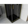 Mexen Rio square shower cabin 80 x 80 cm, graphite, gold + Flat shower tray, black - 860-080-080-50-40-4070G