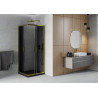 Mexen Rio square shower cabin 80 x 80 cm, graphite, gold + Flat shower tray, black - 860-080-080-50-40-4070G