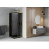 Mexen Rio Square Shower Enclosure 80 x 80 cm, Graphite, Gold + Flat Shower Tray, Black- 860-080-080-50-40-4070G
