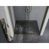 Mexen Apia sliding shower door 100 cm, Transparent, Gold - 845-100-000-50-00