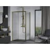 Mexen Apia extendable shower cubicle 95 x 70 cm, Transparent, Gold - 840-095-070-50-00