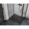 Mexen Apia extendable shower cubicle 95 x 100 cm, Transparent, Gold - 840-095-100-50-00