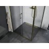 Mexen Apia extendable shower cubicle 95 x 100 cm, Transparent, Gold - 840-095-100-50-00