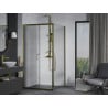 Mexen Apia sliding shower enclosure 100 x 100 cm, transparent, gold - 840-100-100-50-00
