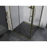 Mexen Apia sliding shower cabin 100 x 100 cm, transparent, gold - 840-100-100-50-00