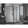 Mexen Apia sliding shower enclosure 100 x 100 cm, transparent, gold - 840-100-100-50-00