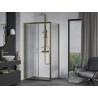 Mexen Apia sliding shower cabin 120 x 100 cm, transparent, gold - 840-120-100-50-00