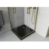 Mexen Rio square shower cabin 70 x 70 cm, transparent, gold + Flat shower tray, black - 860-070-070-50-00-4070G