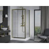 Mexen Apia sliding shower cabin 100 x 80 cm, transparent, gold + Rio tray - 840-100-080-50-00-4510