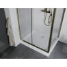 Mexen Apia sliding shower cabin 120 x 90 cm, transparent, gold + Rio shower tray - 840-120-090-50-00-4510