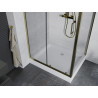 Mexen Apia sliding shower enclosure 120 x 90 cm, transparent, gold + Rio shower tray - 840-120-090-50-00-4510