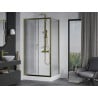 Mexen Apia sliding shower cabin 120 x 90 cm, transparent, gold + Rio shower tray - 840-120-090-50-00-4510