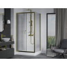 Mexen Apia sliding shower enclosure 120 x 90 cm, transparent, gold + Rio shower tray - 840-120-090-50-00-4510