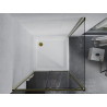 Mexen Apia sliding shower cabin 90 x 90 cm, transparent, gold + Flat shower tray, white - 840-090-090-50-00-4010G