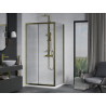 Mexen Apia sliding shower cabin 100 x 70 cm, transparent, gold + Flat tray, white - 840-100-070-50-00-4010G