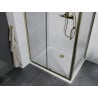 Mexen Apia sliding shower cabin 110 x 80 cm, transparent, gold + Flat shower tray, white- 840-110-080-50-00-4010G