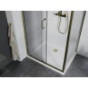 Mexen Apia extendable shower cubicle 130 x 100 cm, Transparent, Gold + shower tray Flat, White- 840-130-100-50-00-4010G