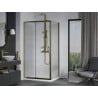 Mexen Apia extendable shower cubicle 130 x 100 cm, Transparent, Gold + shower tray Flat, White- 840-130-100-50-00-4010G