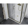 Mexen Apia sliding shower cabin 140 x 90 cm, transparent, gold + Flat shower tray, white - 840-140-090-50-00-4010G